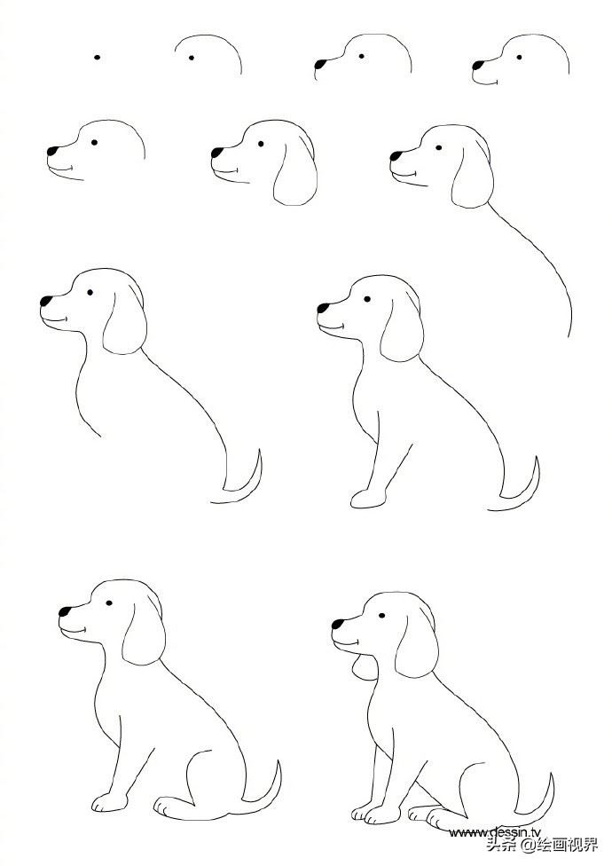 适合孩子学习的9种动物简笔画线稿