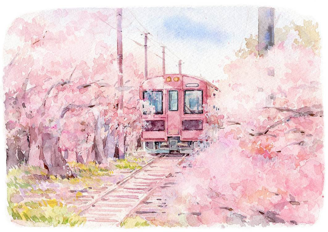 樱花水彩画 简单图片
