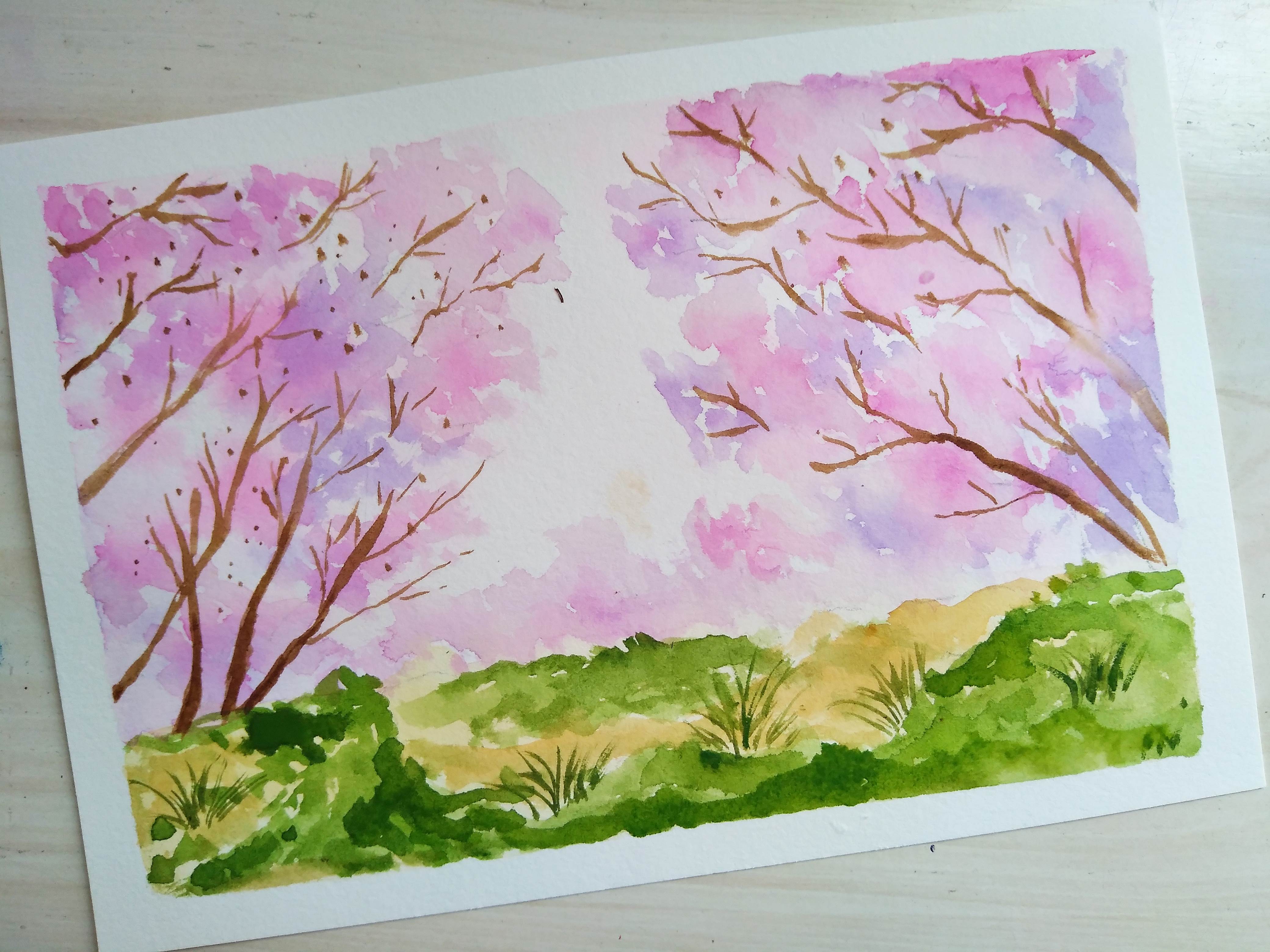 樱花树的画法水粉图片