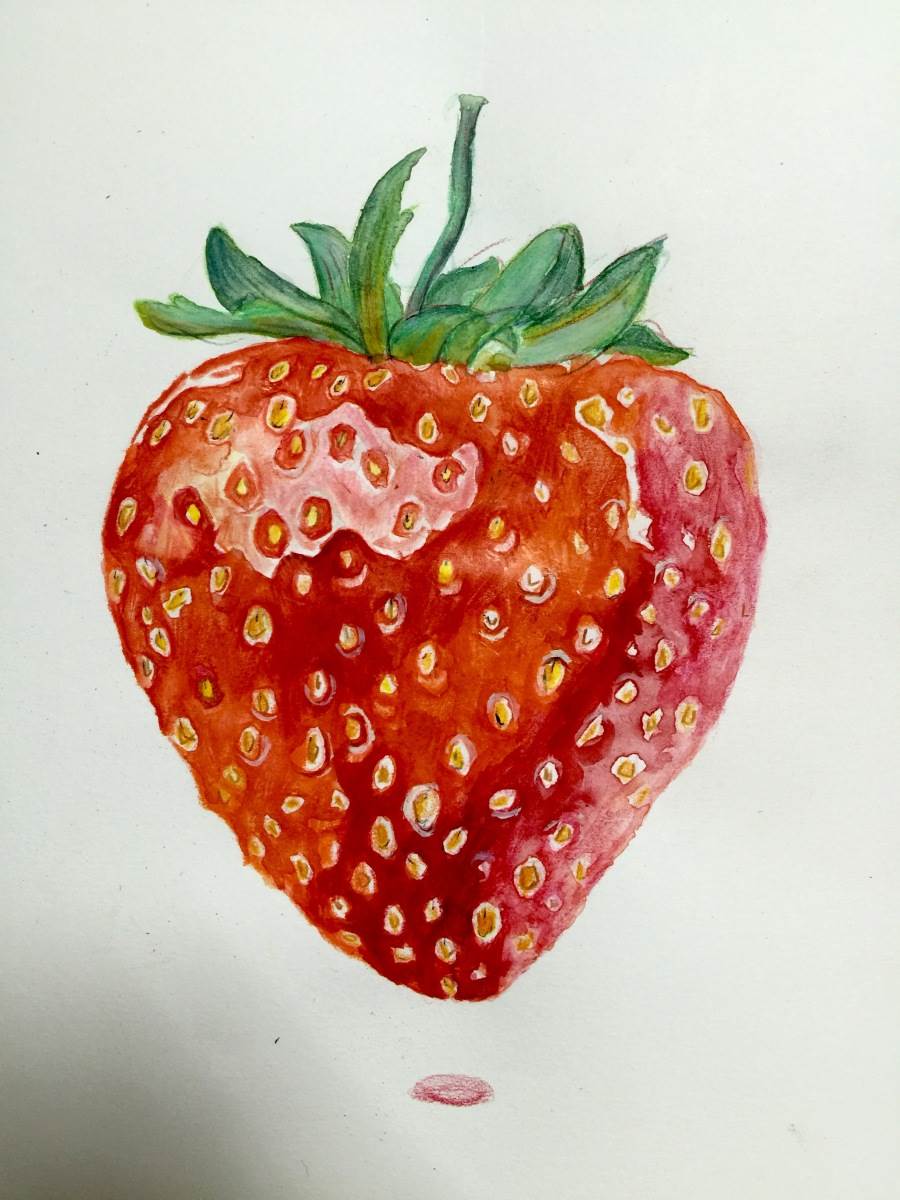 草莓水彩画 草莓水彩画图片