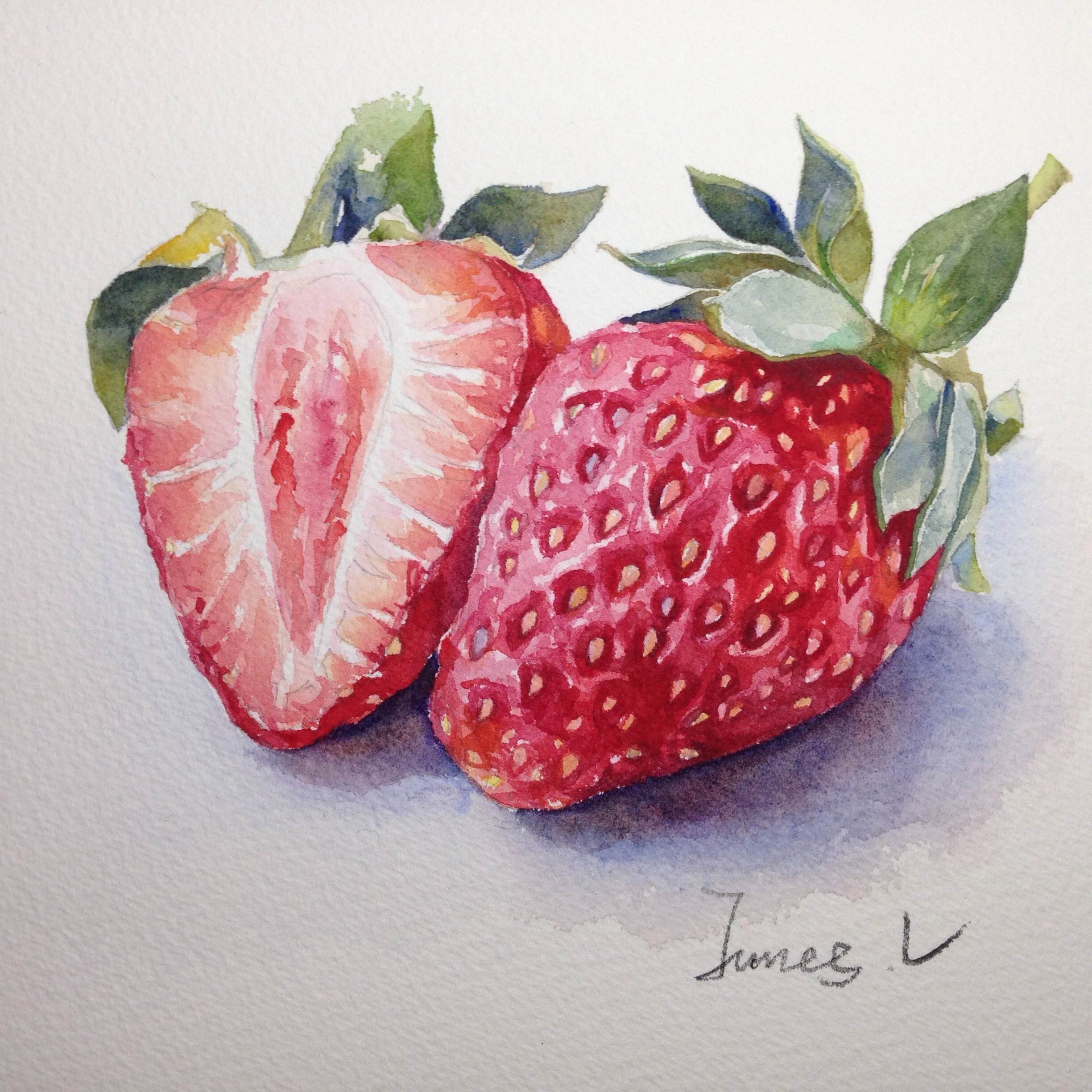 水彩插画全日课堂示范——草莓水彩手绘—【水果草莓】