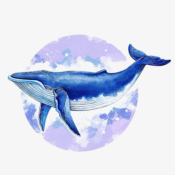 彩铅画星空 鲸鱼图片