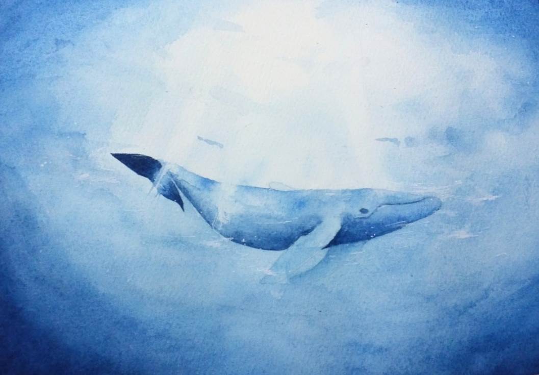 腐烂的鲸鱼绘画图片