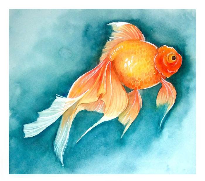金鱼水彩画金鱼水彩画简单