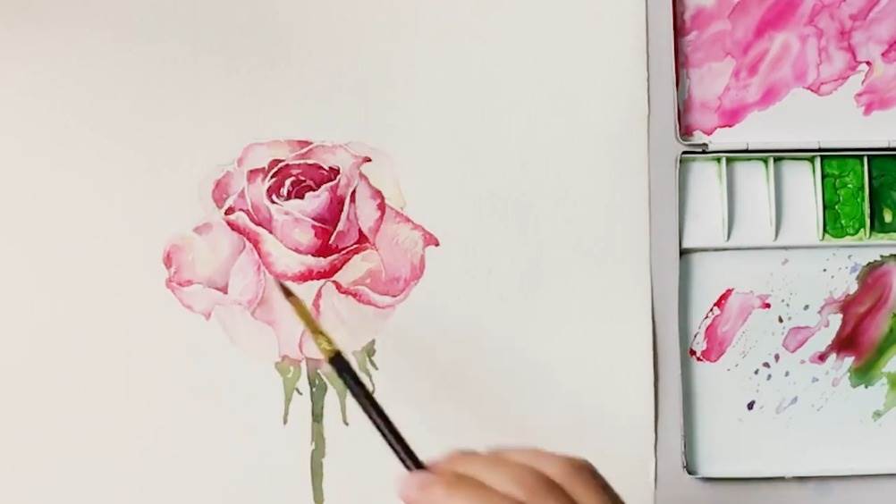 玫瑰花水彩画简单水彩玫瑰花的画法 第2 水彩迷