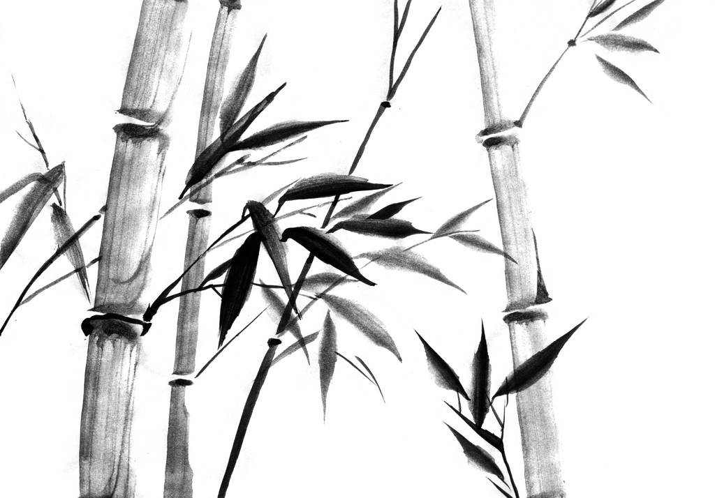 水彩,墨水,竹子,白色背景,背景水彩画,竹子