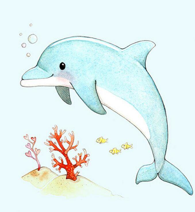 蓝色的海豚岛怎么画图片
