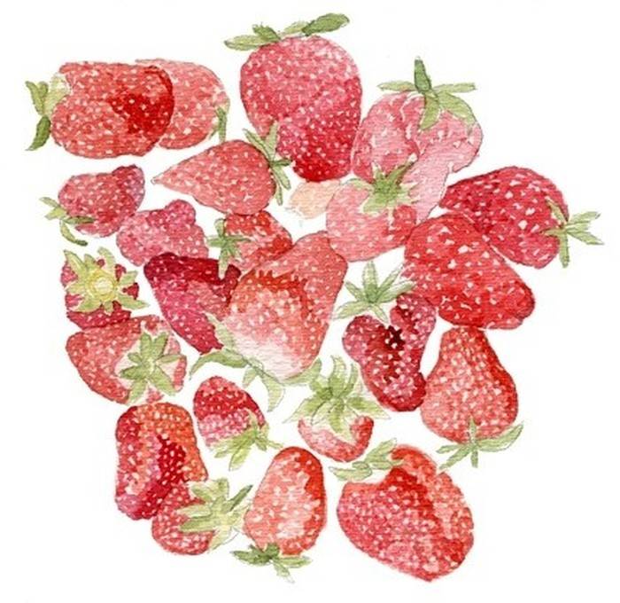 草莓水彩画草莓水彩画图片
