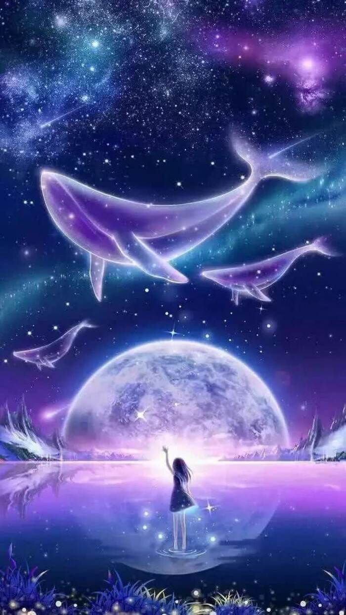 鲸鱼座 梦幻图片