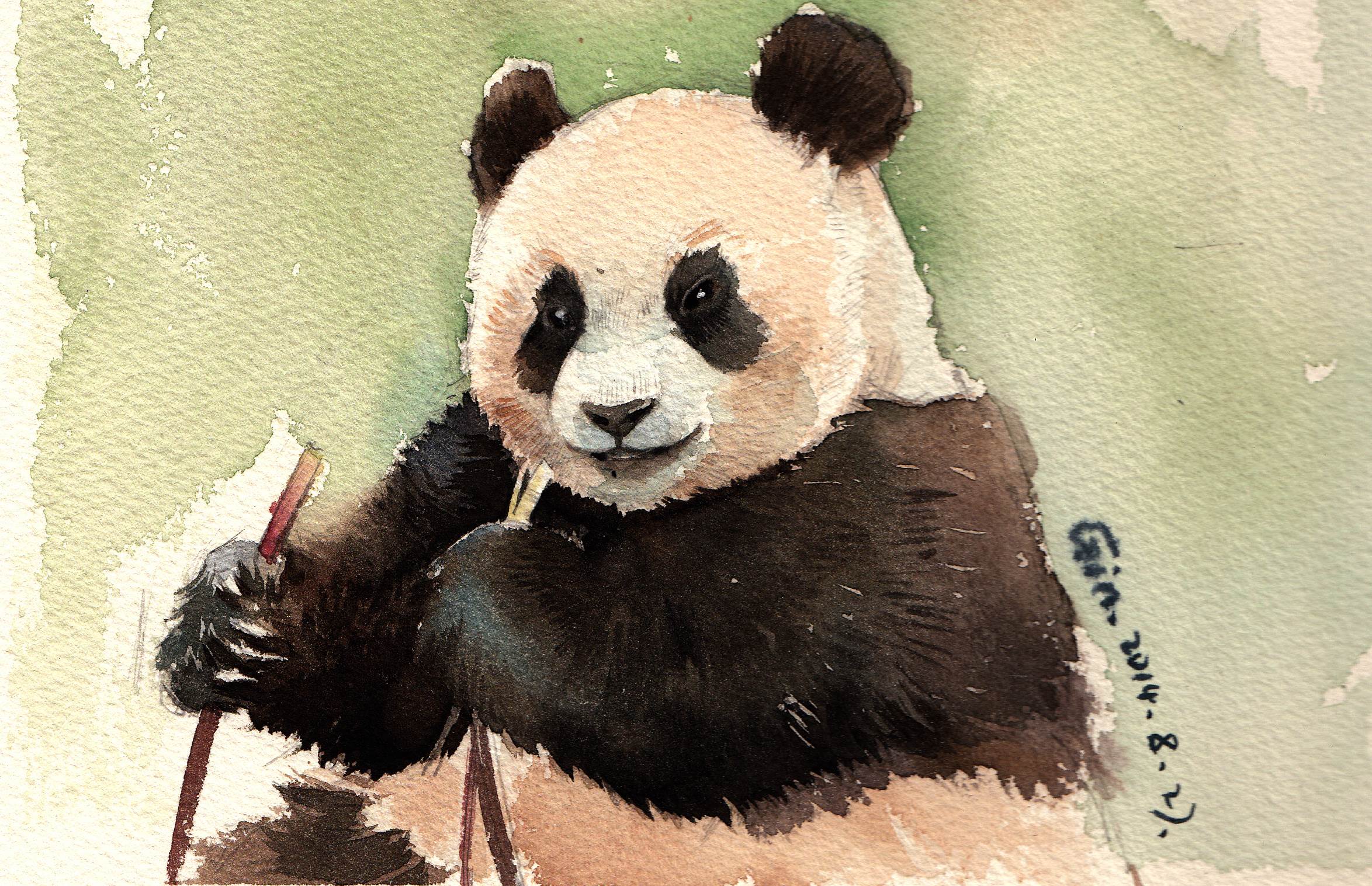 熊猫水彩画 熊猫水彩画图片