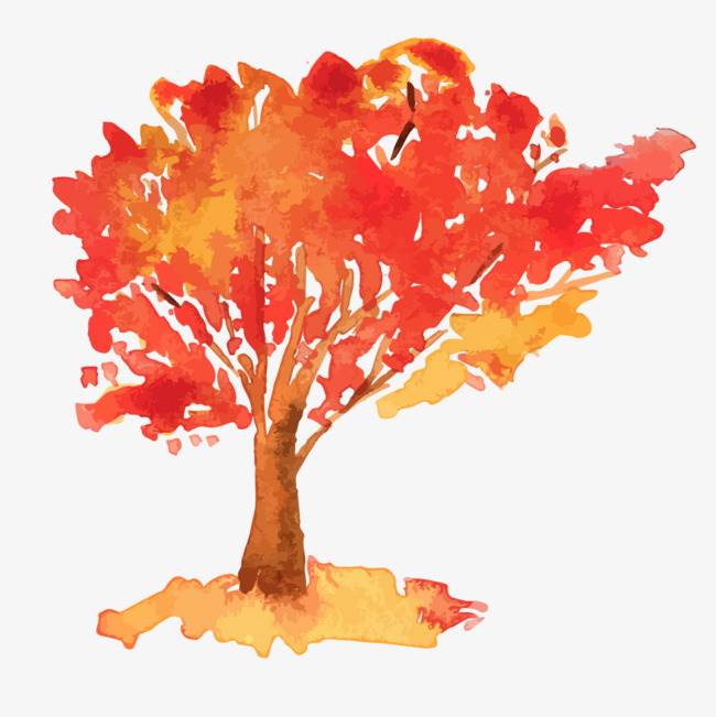 秋天的树水彩画 秋天的树水彩画法
