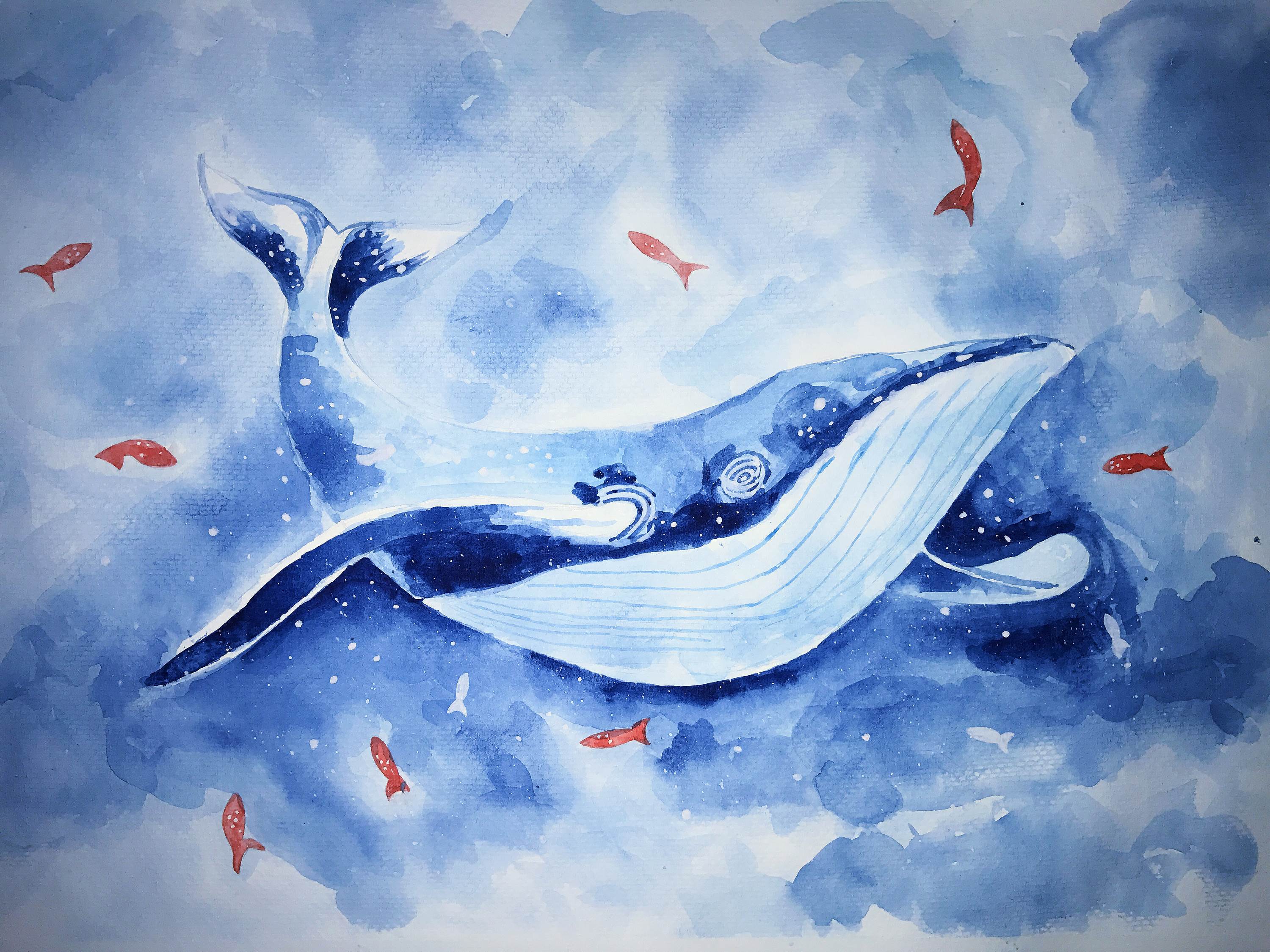 鲸鱼怎么画梦幻彩铅图片