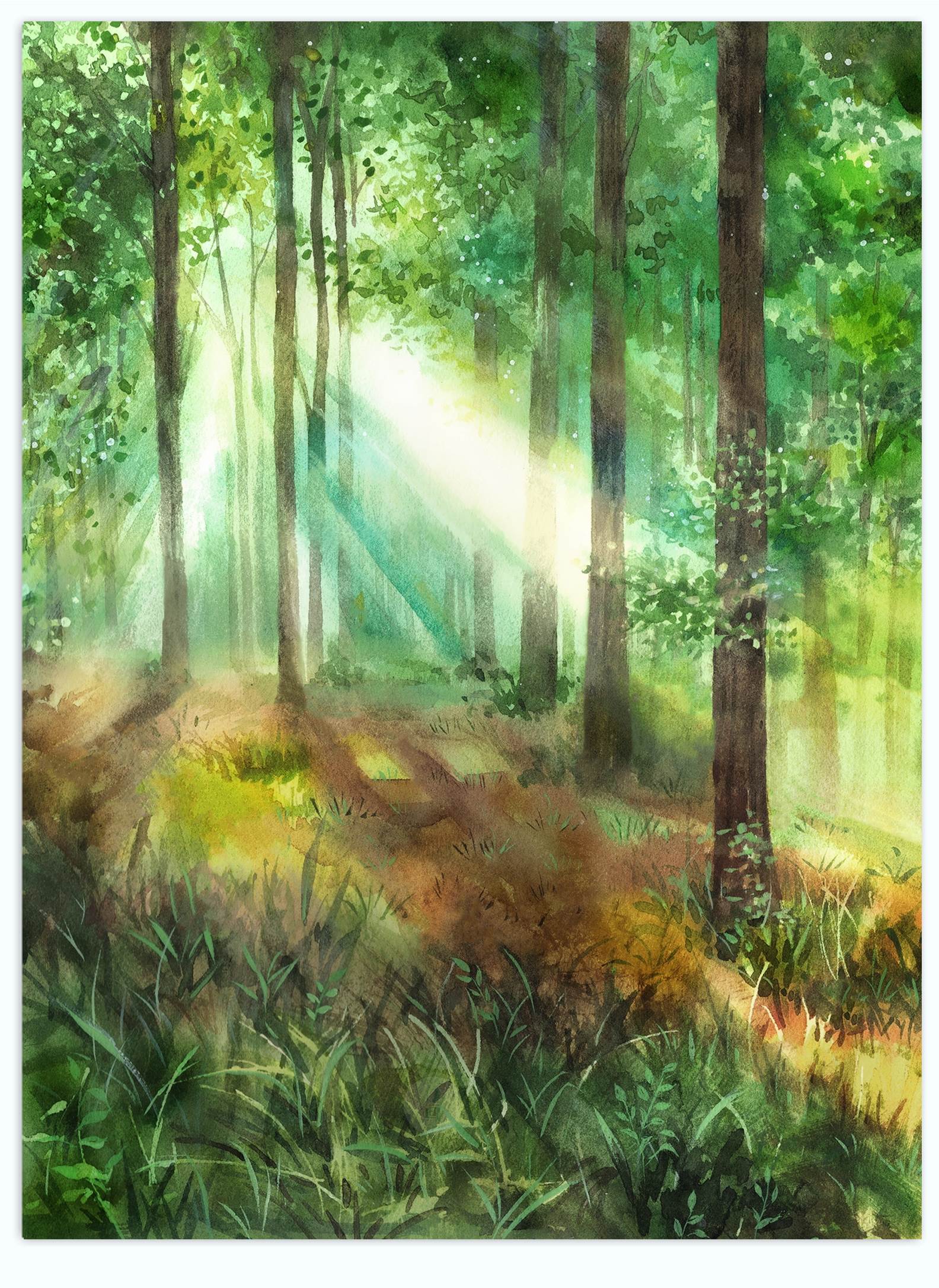 黑白森林儿童绘本——卡片部分|插画|绘本|Zoya_Ye - 原创作品 - 站酷 (ZCOOL)