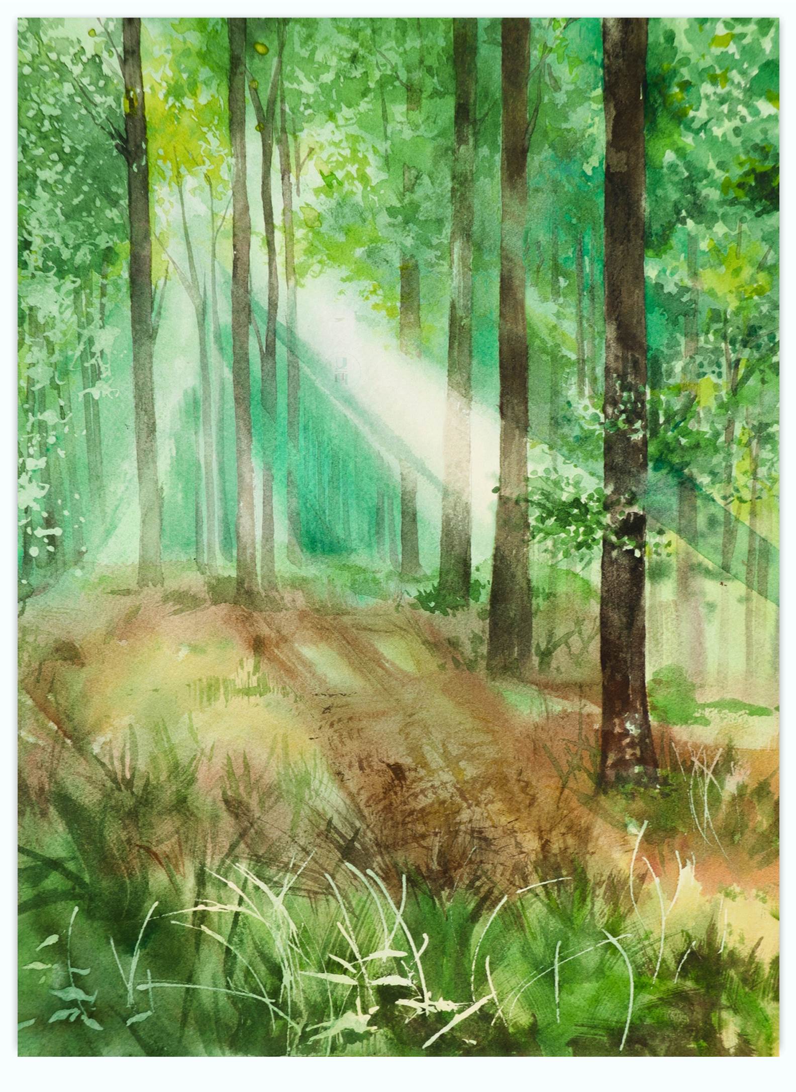 手绘 二次元 清新 唯美 森系 动植物 彩铅 … - 堆糖，美图壁纸兴趣社区