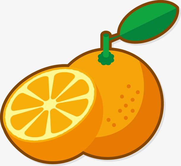 橙子色彩画法图片