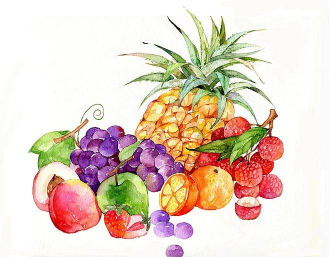各种水果水彩画水果水彩画图片 第3页 水彩迷