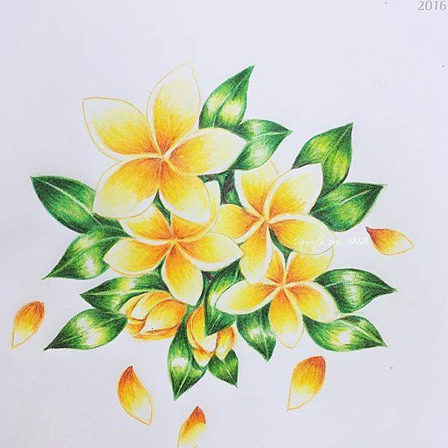 花卉水彩画简单花卉水彩画简单步骤 第2 水彩迷