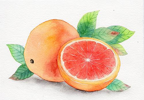 简单水彩画水果简单的水彩水果的画法 第3页 水彩迷