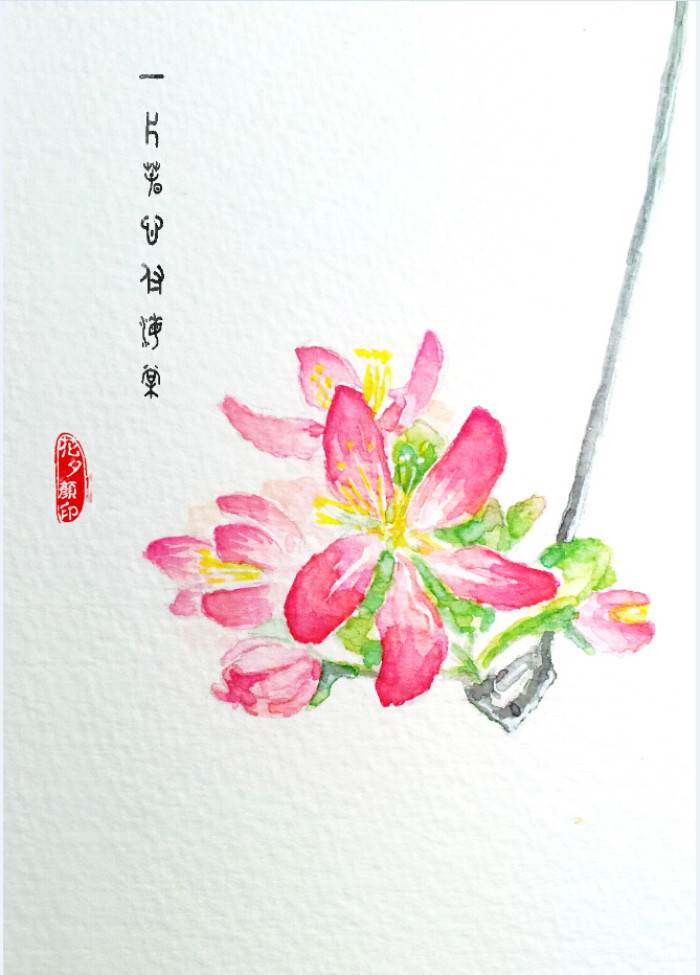 海棠花水粉画教程图片