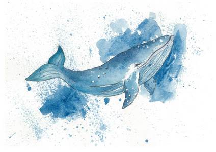 鲸鱼图片唯美绘画水彩图片