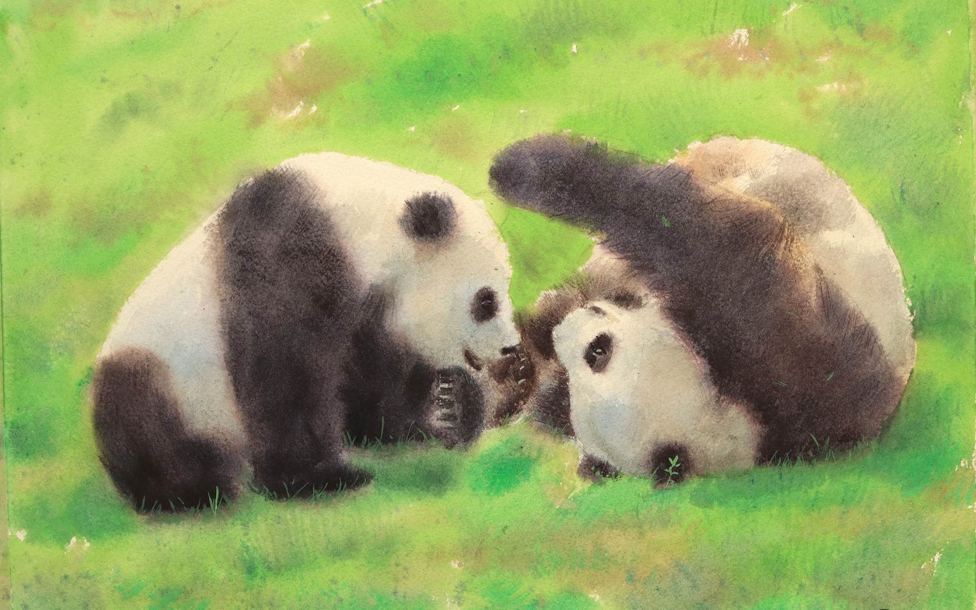大熊猫水彩画 大熊猫水彩画教程