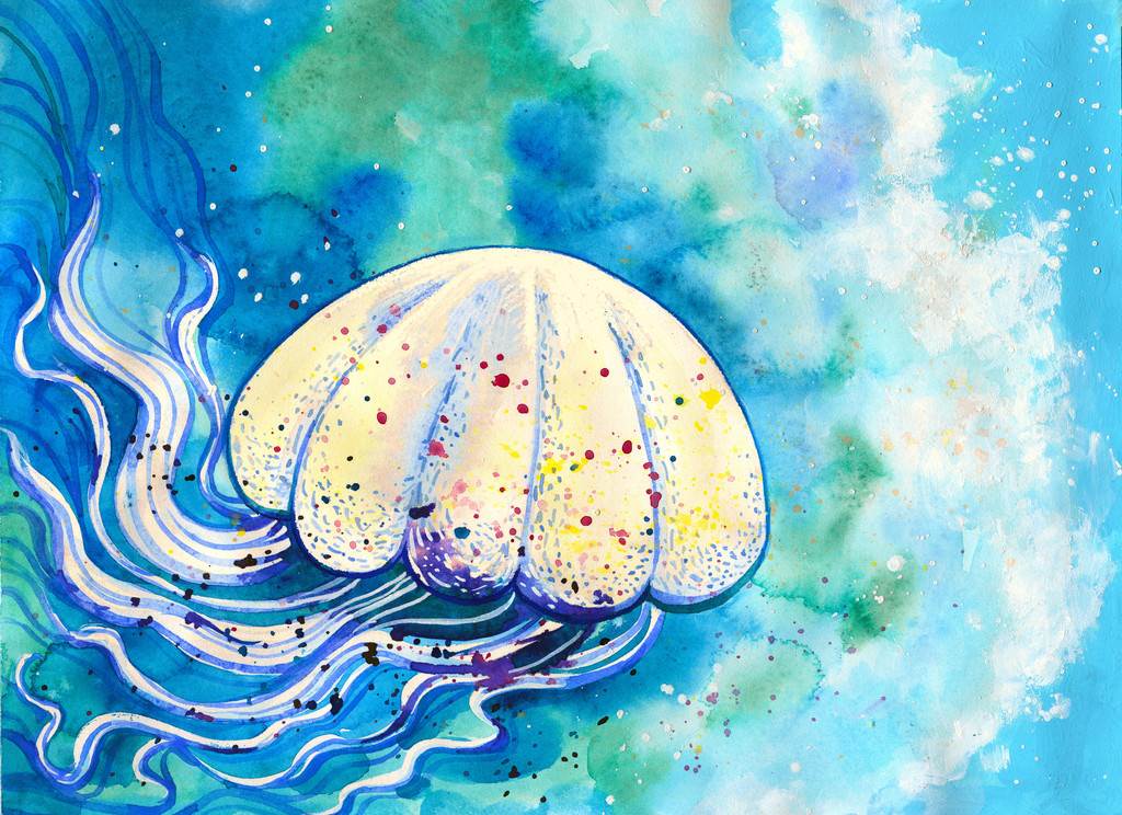 海洋生物水彩画海洋生物水彩画作品