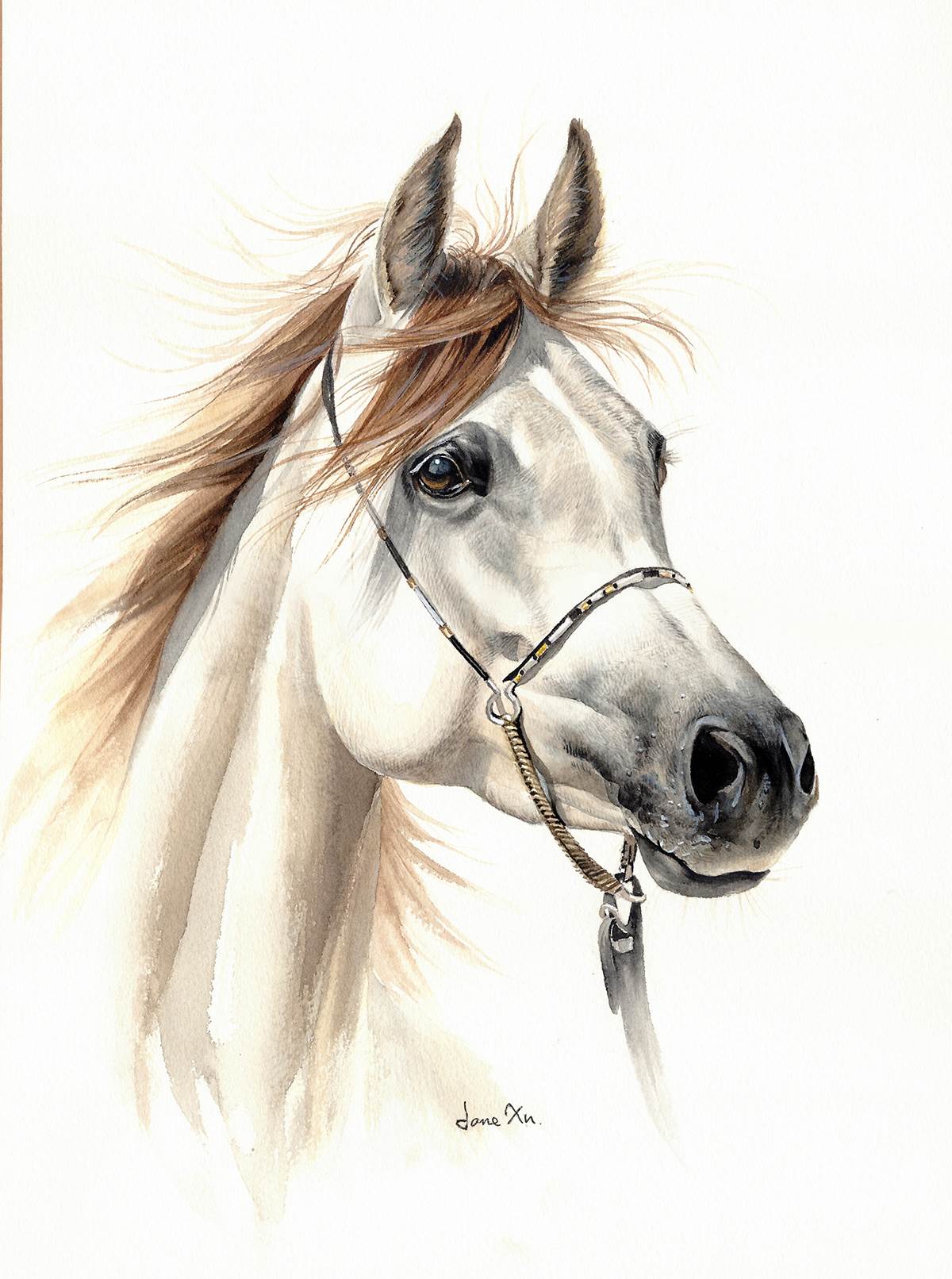 【绘画教程】板绘马怎么画？教你动物马的各种形态画法教程！ - 知乎