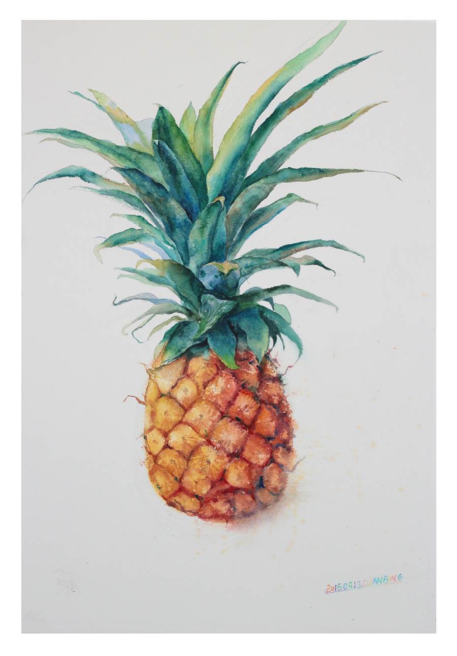 菠萝水彩画菠萝水彩画简单