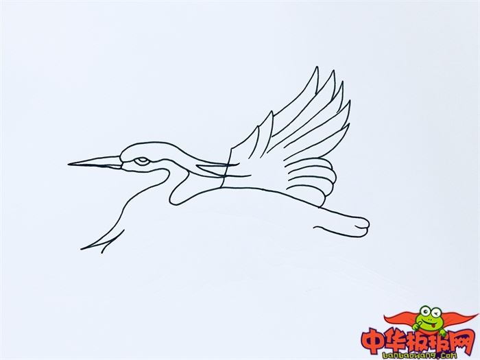 白鹭简笔画飞行简单图片