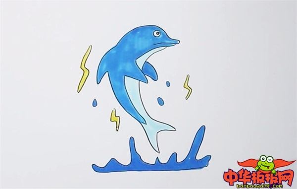 海豚简笔画 喷水图片