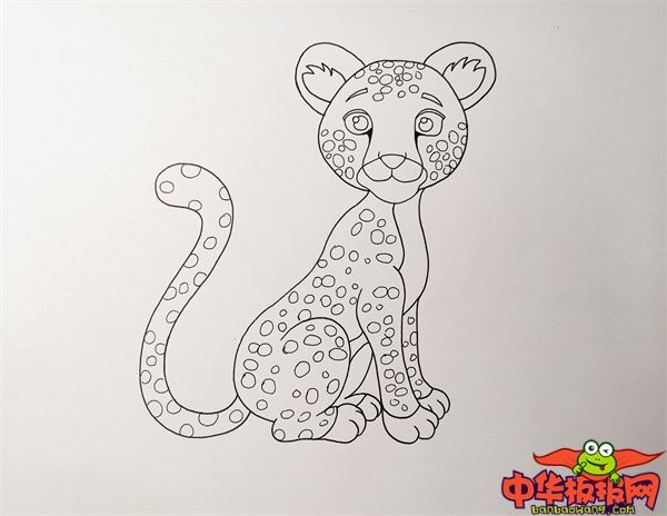 豹子怎么画简笔画图片
