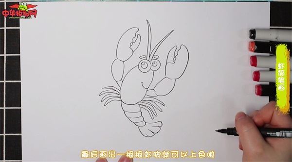 煮熟的虾怎么画简笔画图片