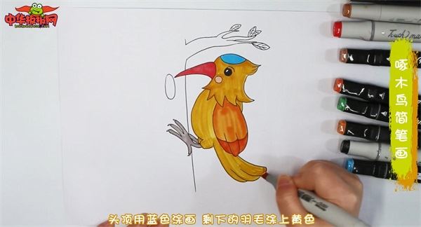 可爱的啄木鸟怎么画图片