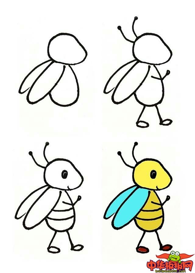 昆虫简单画法图片