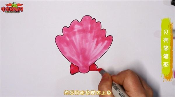 贝壳怎么画贝壳简笔画简单彩色