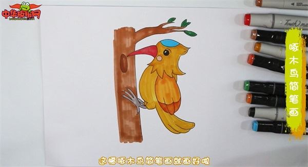 啄木鸟怎么画啄木鸟简笔画简单又漂亮彩色