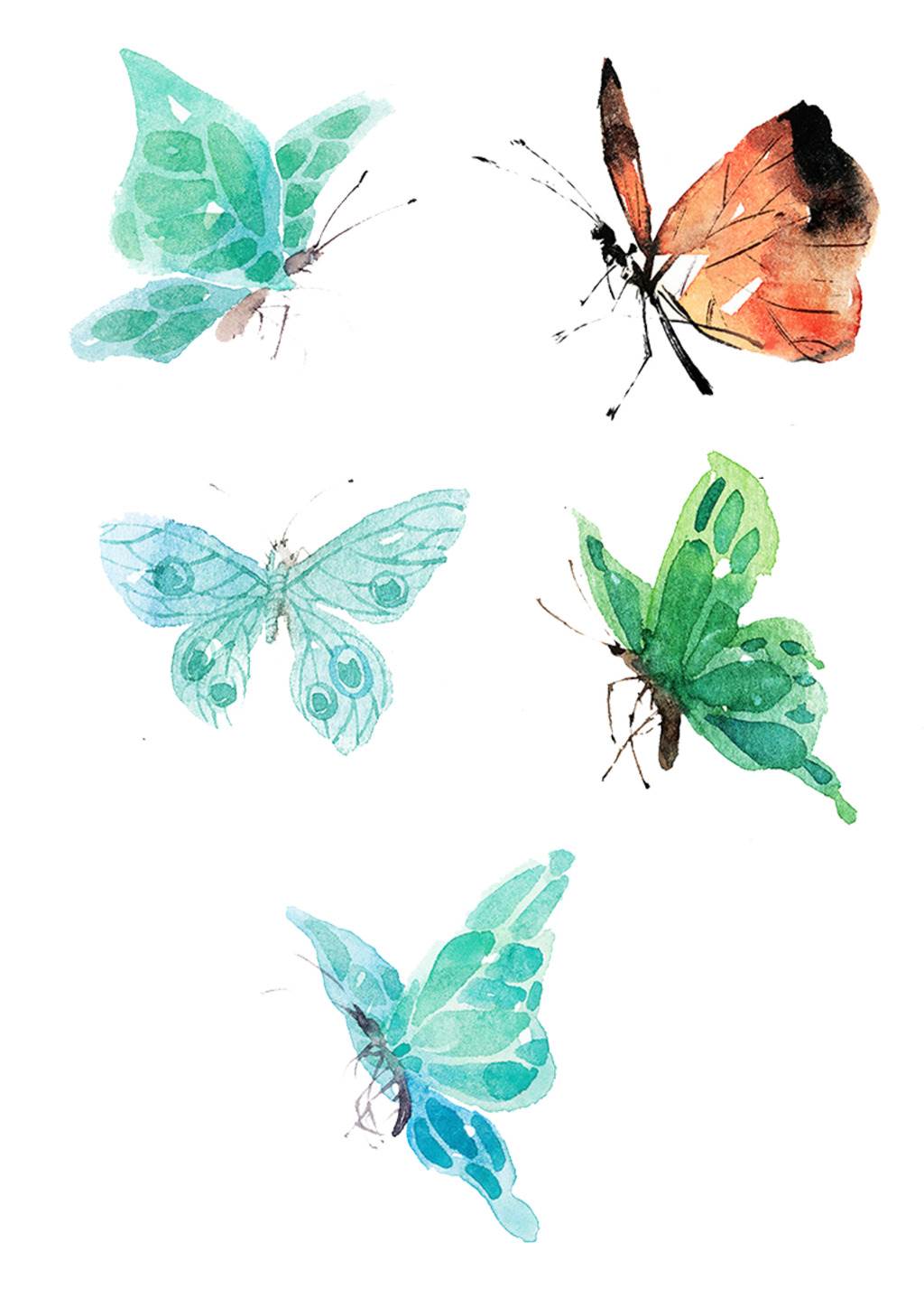 蝴蝶创意画图画图片