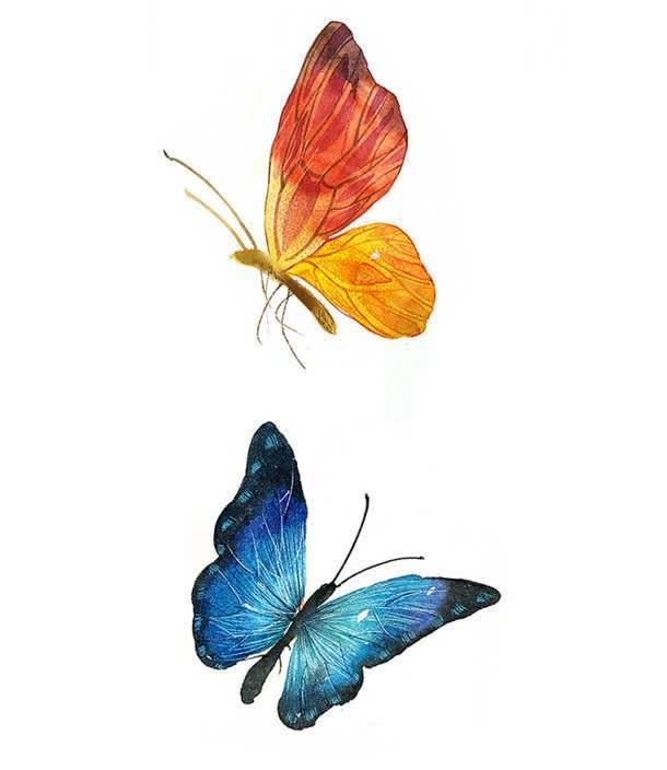 丙烯画蝴蝶图简单图片