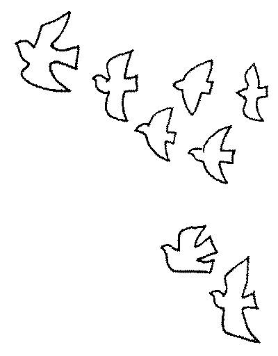 一排和平鸽简笔画图片