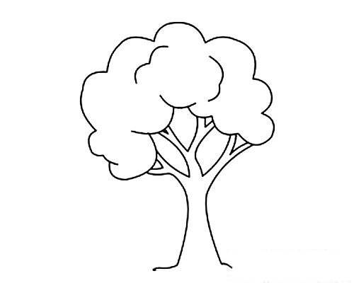 儿童怎么画小树简单?涂色简笔画一棵小树的画法图片教程素描
