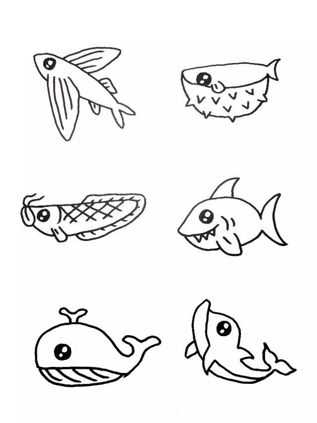 各种海洋生物简笔画海洋生物简笔画:海洋中的小海豚画法