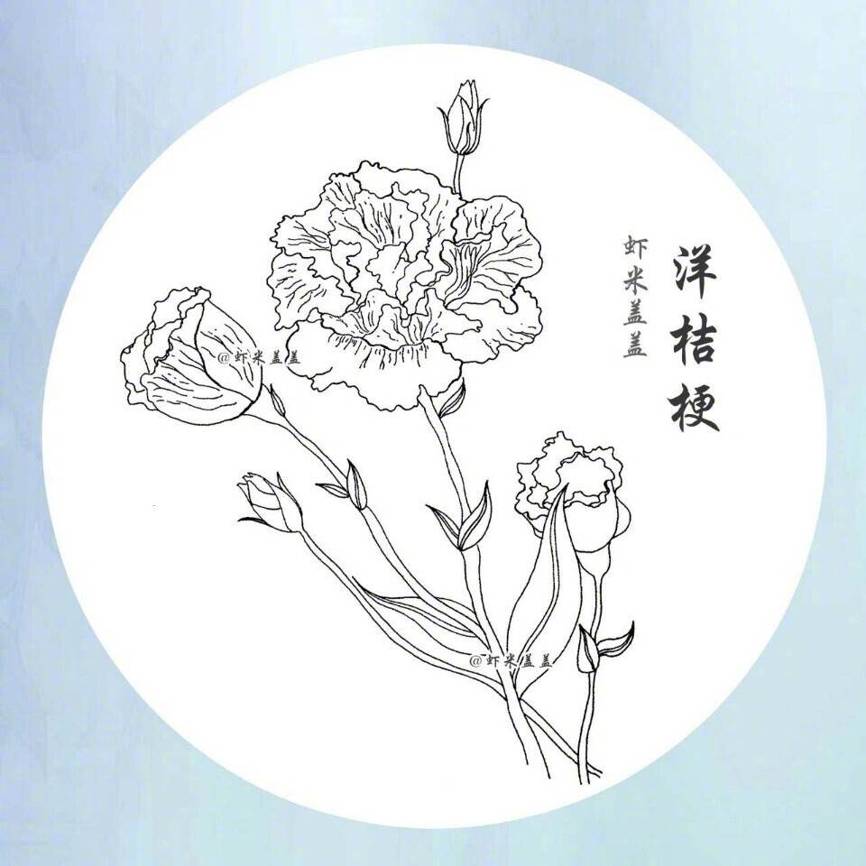 最美丽的花怎么画图片