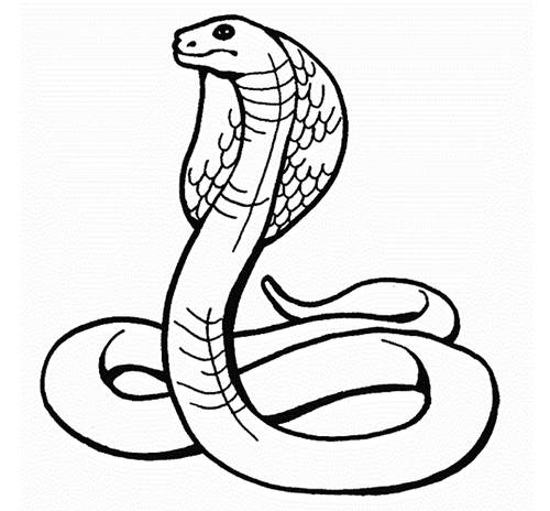 蛇简笔画 恐怖图片