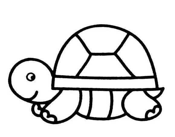 简笔画乌龟的画法图片