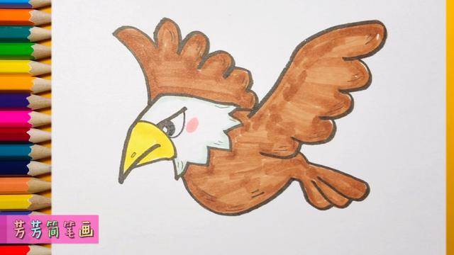 飞翔的老鹰简笔画彩色图片