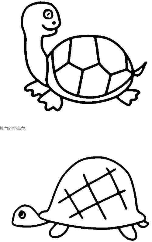 乌龟缩壳简笔画图片