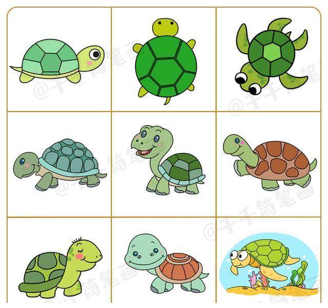 简笔画可爱乌龟 彩色图片
