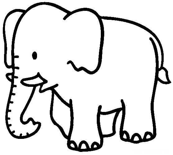 动物简单简笔画画法图片