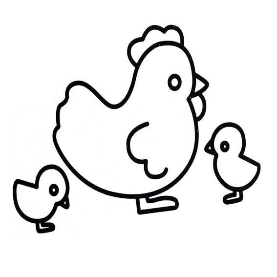 鸡简笔画幼儿图片