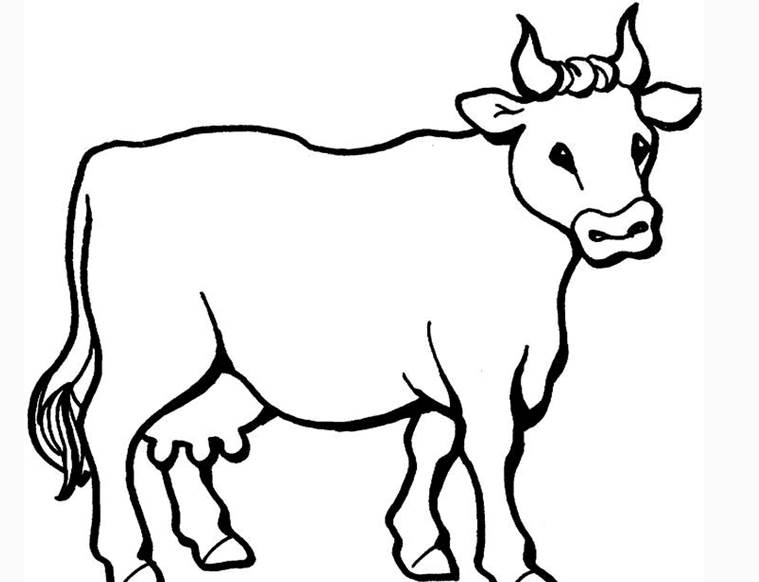 牛的嘴巴怎么画图片